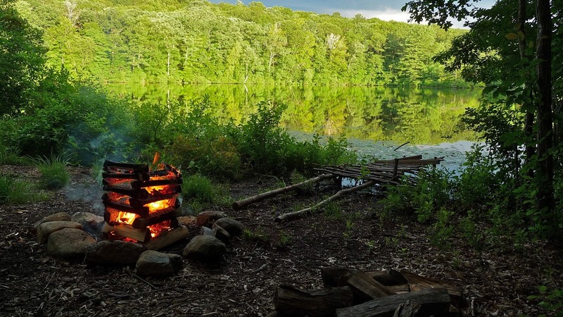 nature, campfire, pond, lake