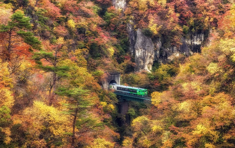 landscape, fall, nature, HDR