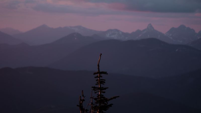 mountains, tree, fog, landscape, height, 4k