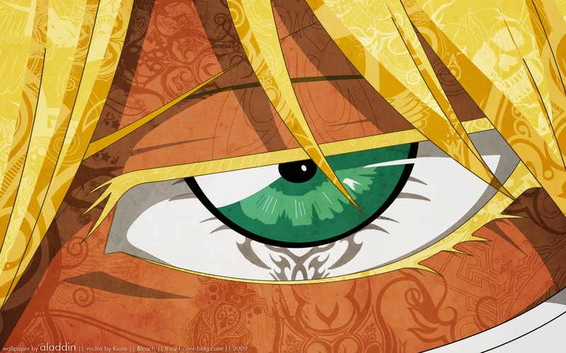 Bleach, anime, green eyes, 2009 (Year)