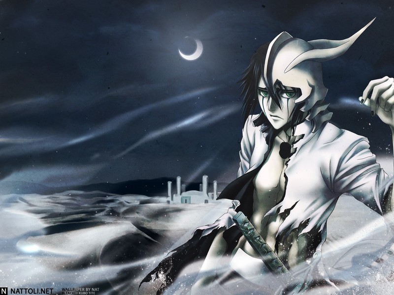 Bleach, anime, green eyes, Moon, anime boys
