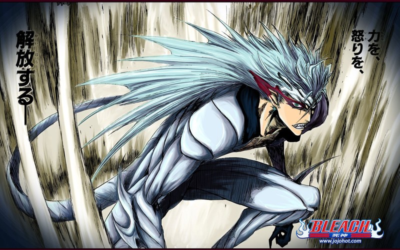 Bleach, anime, long hair, creature