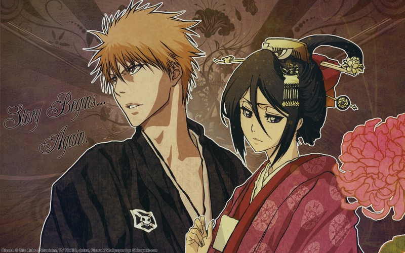 Bleach, anime, Kurosaki Ichigo, Kuchiki Rukia