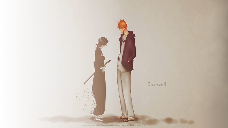 Bleach, anime, anime girls, anime boys, simple background, Kuchiki Rukia, Kurosaki Ichigo