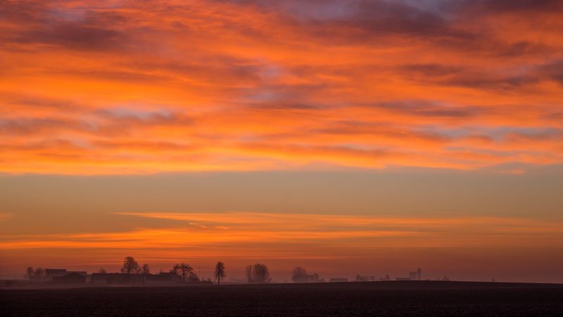 dawn, field, fog, landscape, clouds, 4k