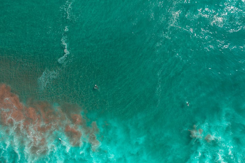 nature, water, aerial view, turquoise, green