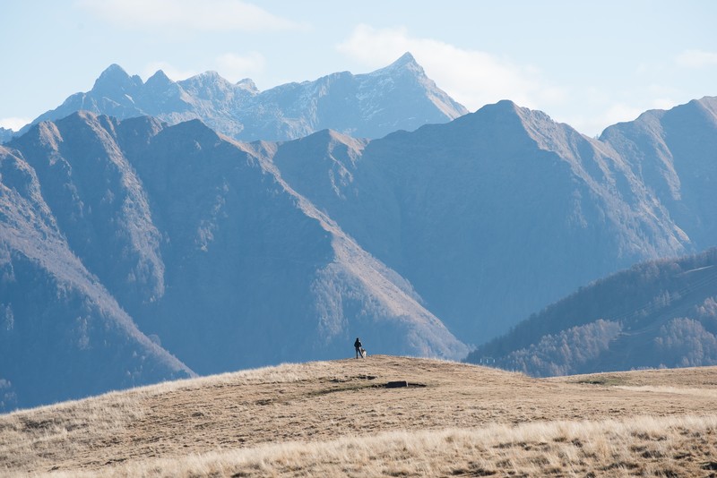 nature, mountains, landscape, dog