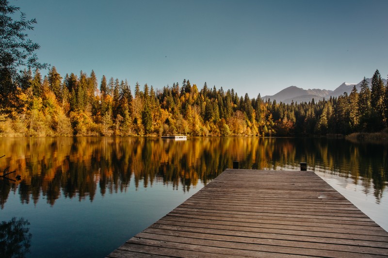 pier, forest, water, mountains, nature