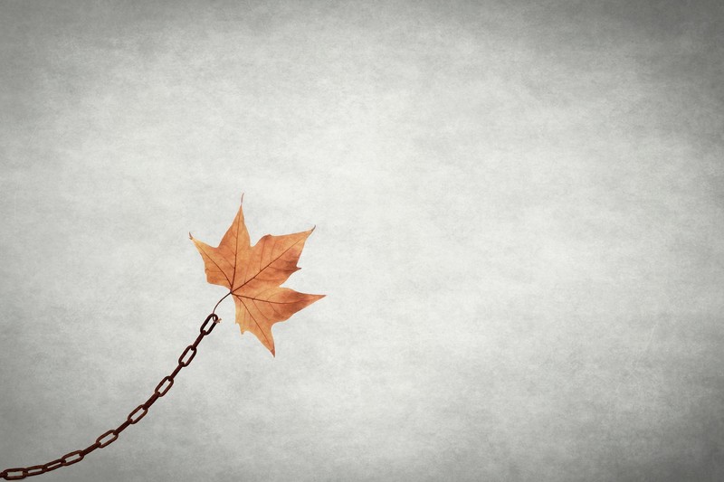 chains, leaves, minimalism