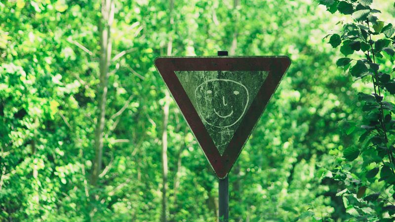 sign, face, drawing, smile, forest, trees, 4k