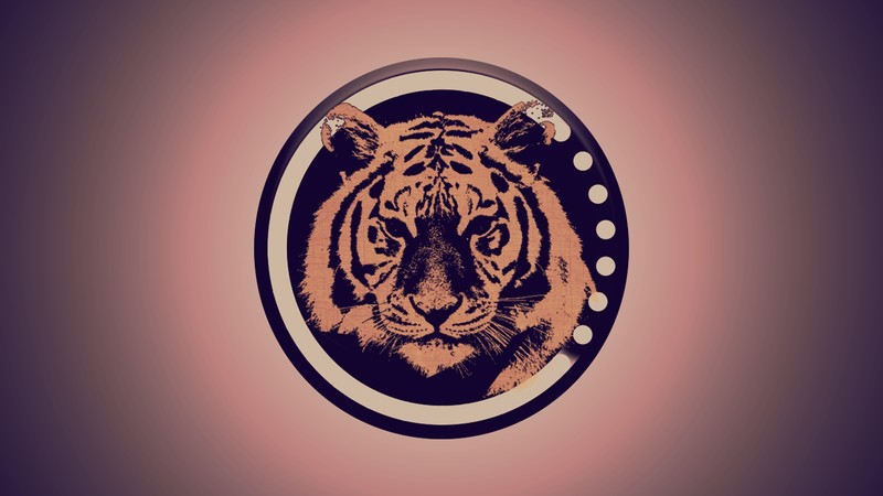 animals, tiger, geometry