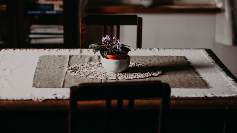 room, interior, furniture, table, chairs, flower, 4k