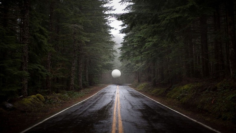 road, forest, sphere, trees