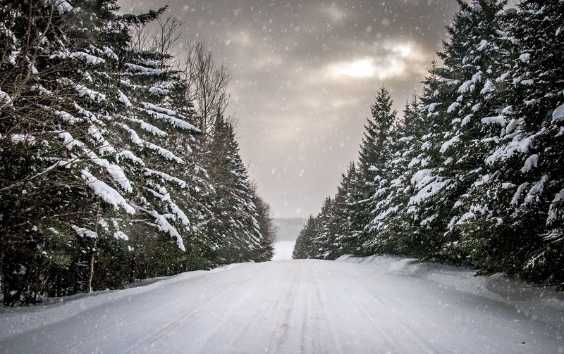 winter, road, snow, trees
