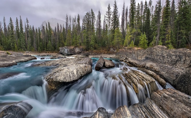 rock, trees, water, nature, long exposure, landscape