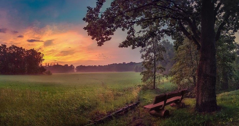 sky, bench, nature, trees, landscape