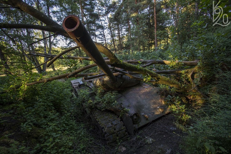 nature, military, tank, wreck, vehicle, rust, moss