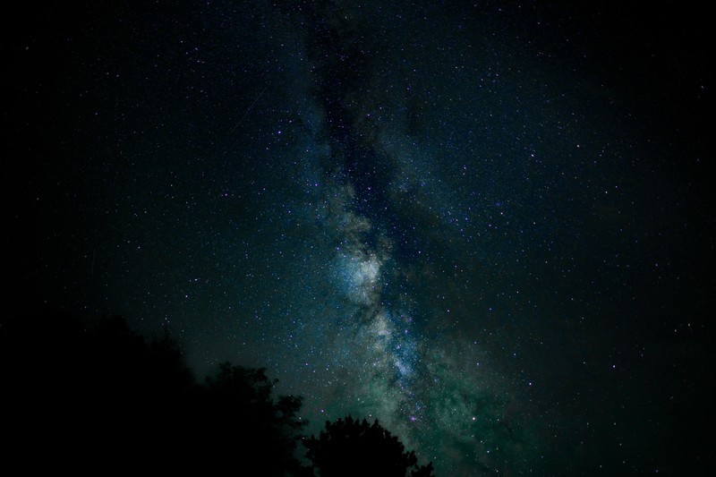 nature, trees, stars, night sky, galaxy