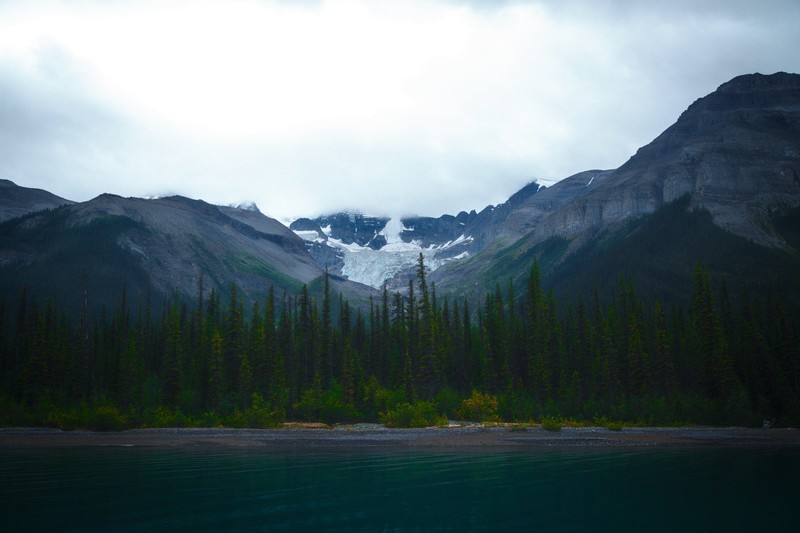 nature, water, trees, snow