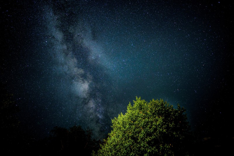 nature, stars, photography, night, sky, dark