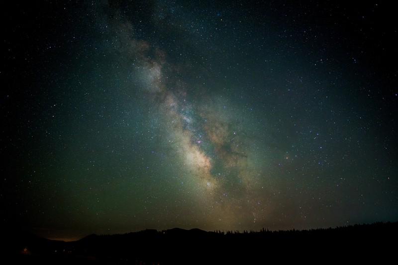nature, stars, trees