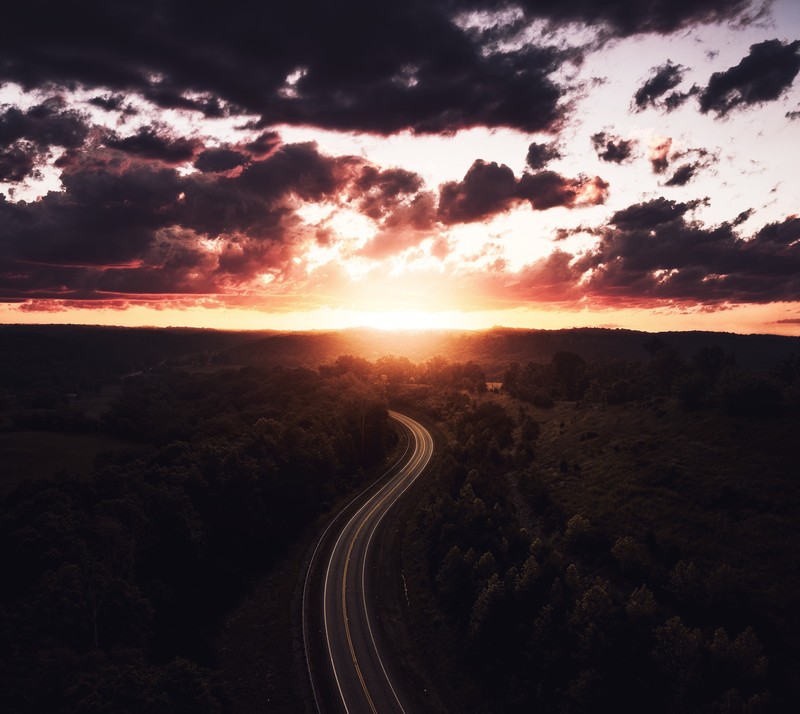 nature, trees, sunset, road