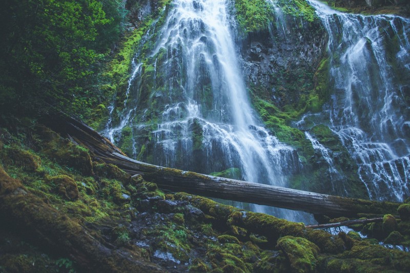 nature, water, trees, waterfall, green, moss, wood