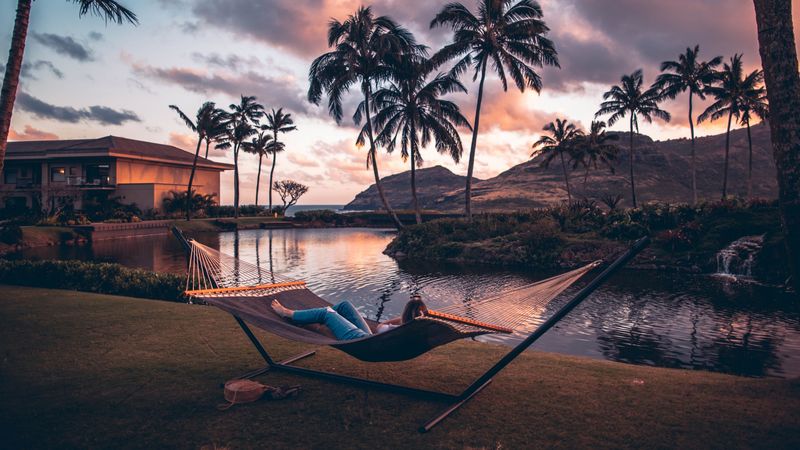 hammock, lake, palm trees, mountains, rest, 4k