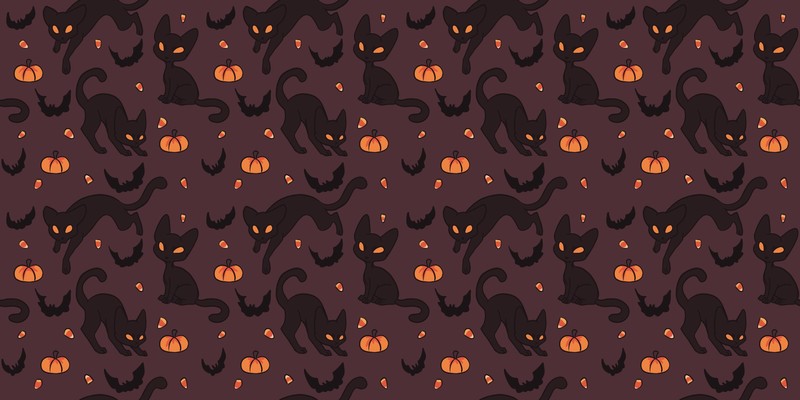 Halloween, black cats, pumpkin