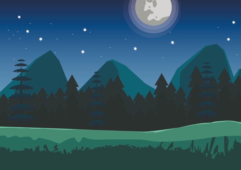 night, pine trees, digital art