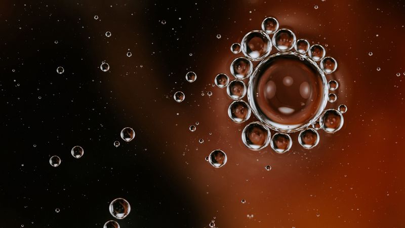 bubbles, liquid, macro, closeup, 4k