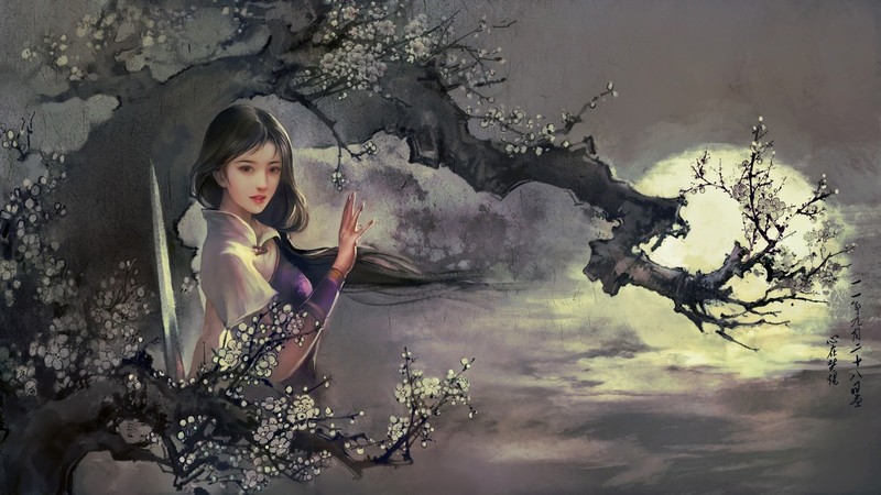 Chinese dress, black hair, WuXia