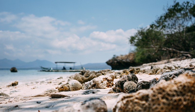 beach, sand, boat, water, sea, trees, clouds