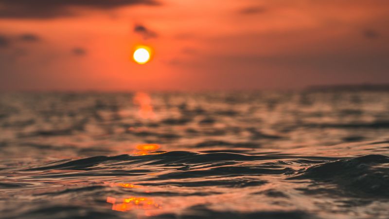 waves, sun, sunset, water, surface, 4k