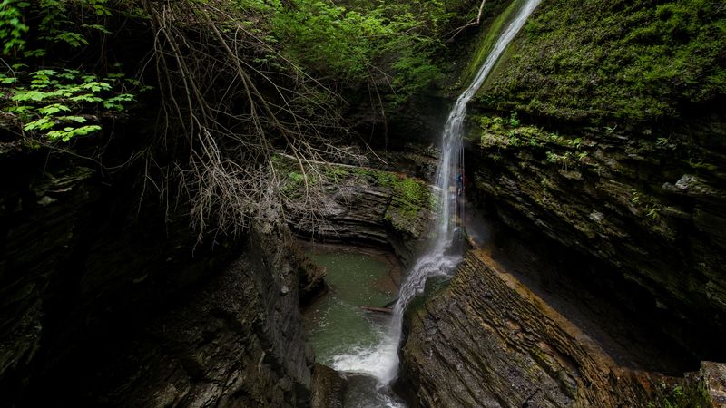 stream, waterfall, rocks, stone, trees, forest, 4k