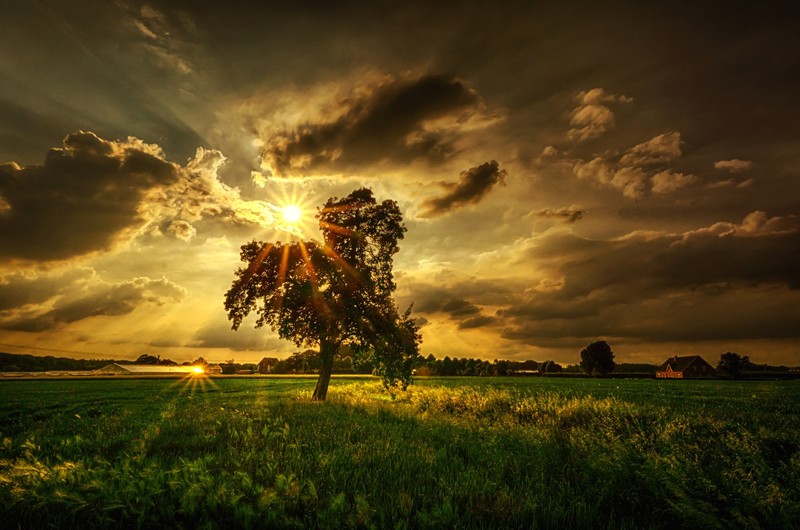 sky, clouds, landscape, sunlight