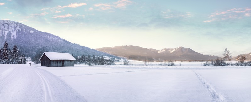 nature, snow, house, trees