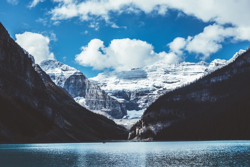 nature, water, snow, trees