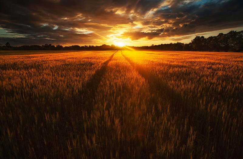 sky, field, sunlight, dark, landscape