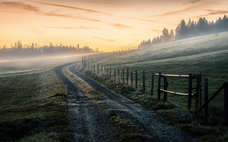 nature, landscape, sky, mist, sunrise, morning, dirt road, fence, trees