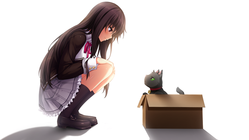 anime, Nora to Oujo to Noraneko Heart, anime girls, Michi Kuroki