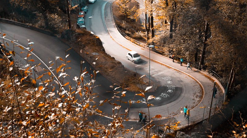 fall, road, Bergen, orange, leaves, beige
