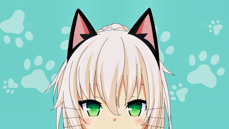 anime, Nora to Oujo to Noraneko Heart, anime girls, Shachi Yuuri, green eyes, simple background, nekomimi