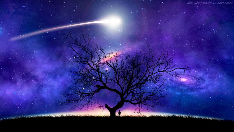 tree, silhouette, space, night, starry sky, comet, 4k