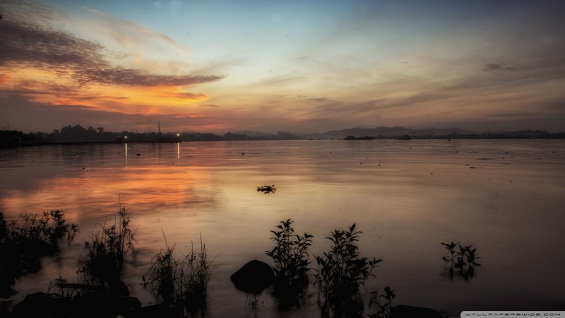 lake, sunrise, nature, dark, water, sky, plants