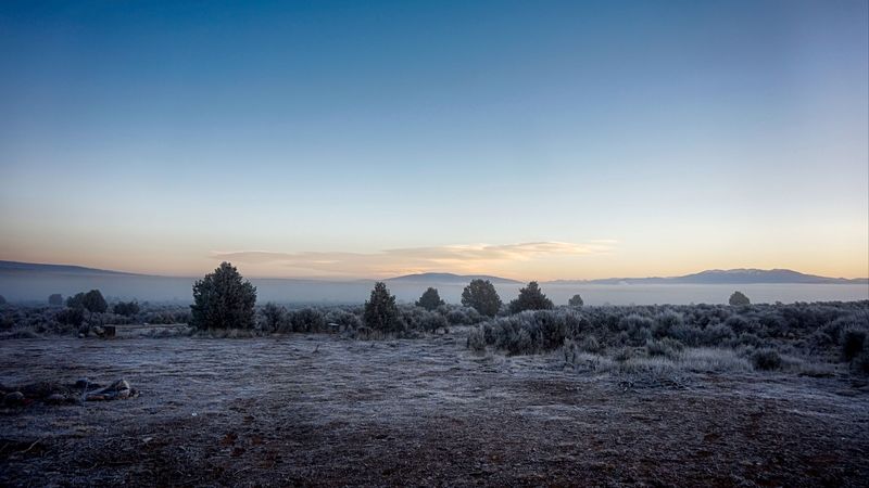 landscape, frost, fog, trees, bushes, 4k