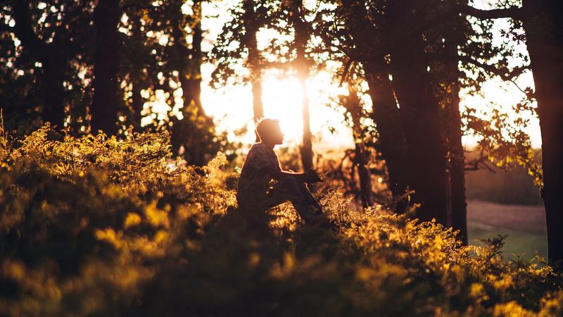 man, forest, sun, light, loneliness, 4k