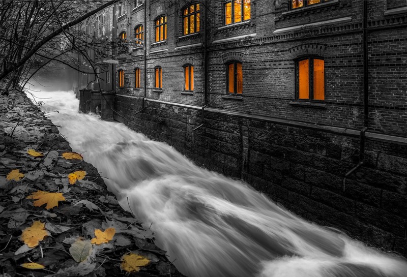dark, water, selective coloring, long exposure, fallen leaves, stream, building, window, trees, fall, yellow