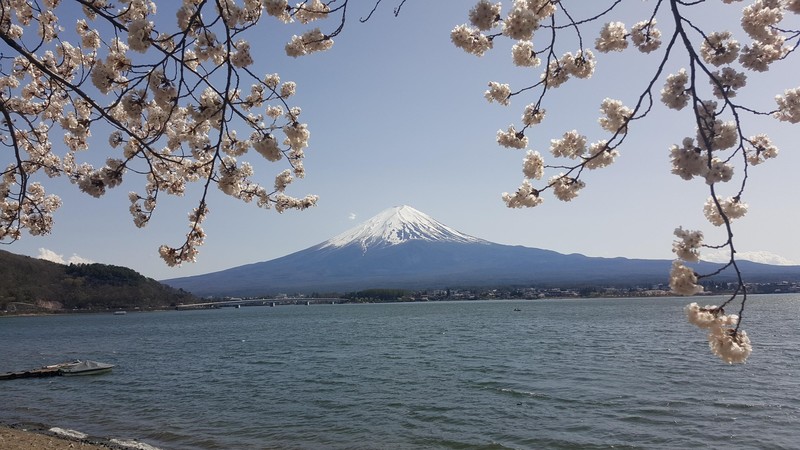 Japan, nature, Mount Fuji, lake, spring