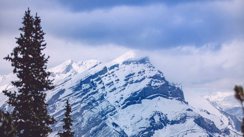 mountain, peak, forest, spruce, snowy, 4k